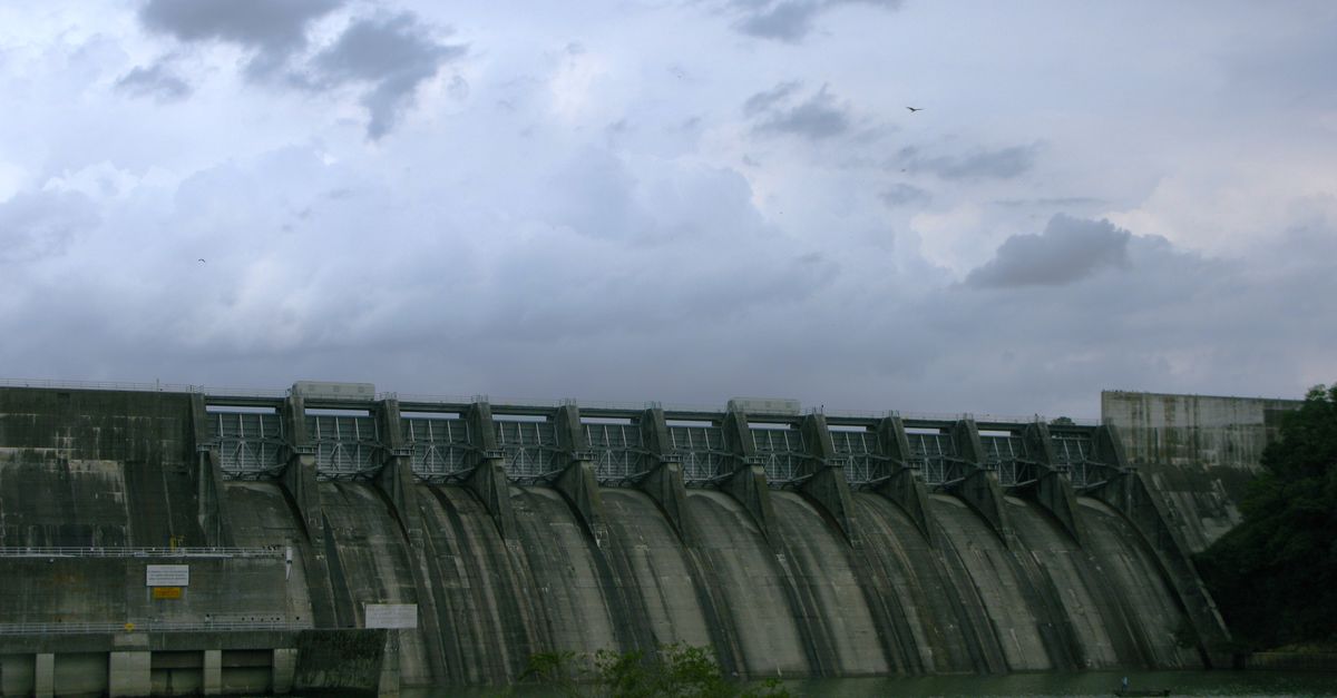 Le WWF contre le barrage hydroélectrique du Rizzanese hydroelectric dam renewable energy