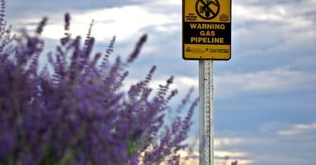 natural gas energy industry
