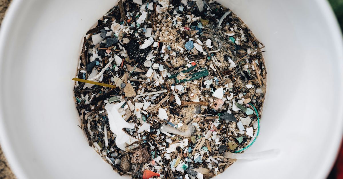 Le plastique recyclé a le vent en poupe plastic pollution environmental cleanup