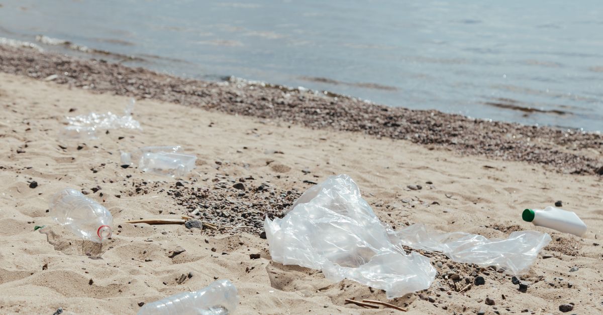 Rip Curl ressuscite le néoprène plastic pollution environmental cleanup
