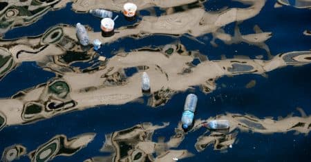plastic pollution environmental cleanup