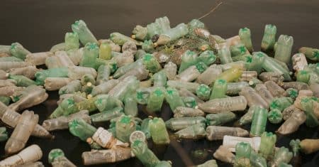 plastic pollution environmental cleanup