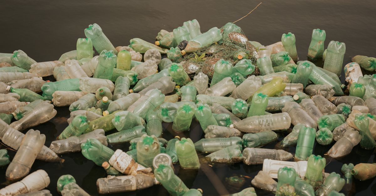 Les sacs plastiques taxés aux caisses plastic pollution environmental cleanup