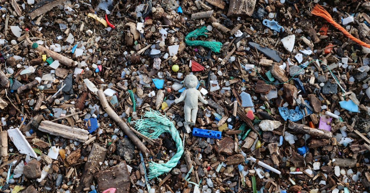 DECHETS – Le prix des plastiques recyclés s’envole plastic pollution environmental cleanup