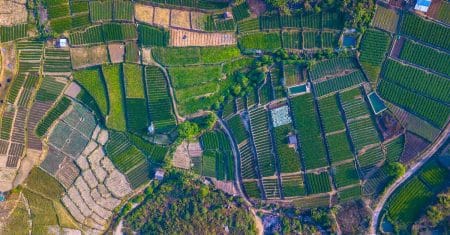 sustainable agriculture farm field