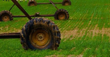 sustainable agriculture farm field