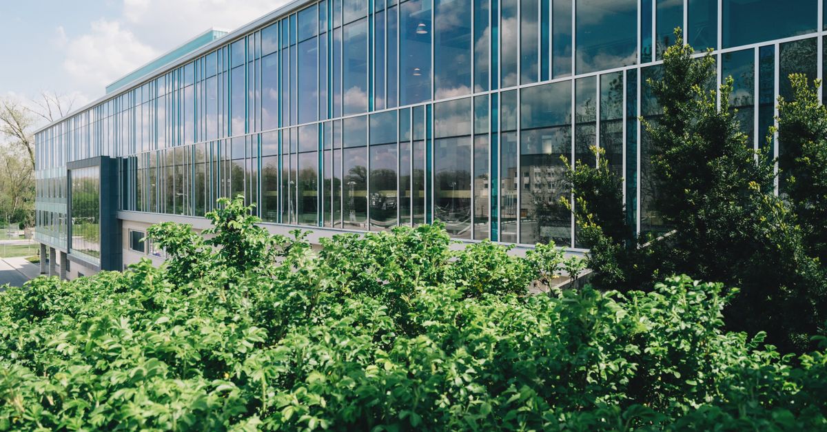 Des coordinateurs de l’UE pour des projets énergétiques essentiels sustainable business office