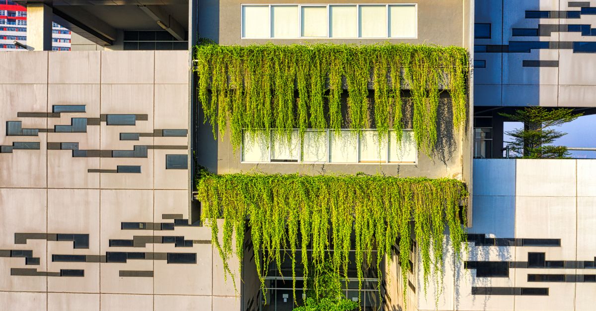 Hermann Kaufmann reçoit le prix international d’architecture durable sustainable green building architecture