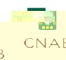 cnab.jpg