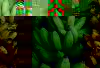 Bananes.JPG